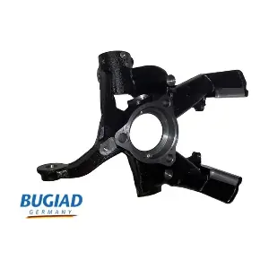 BSP25131 BUGIAD