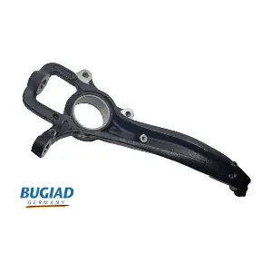 BSP25133 BUGIAD