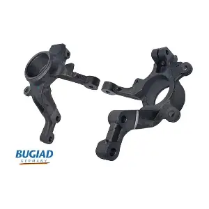 BSP25306 BUGIAD