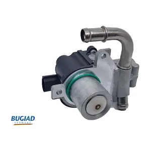 BGR13089 BUGIAD