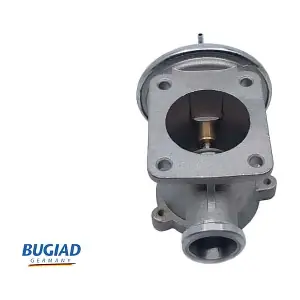BGR13085 BUGIAD