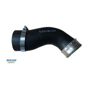 82184 BUGIAD