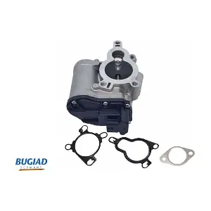 BGR13084 BUGIAD