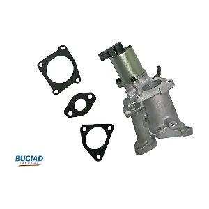 BGR13075 BUGIAD