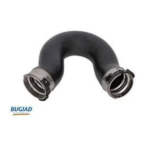 81655 BUGIAD
