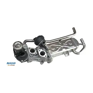 BSP25012 BUGIAD