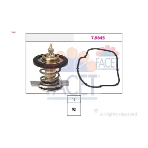 7.8590 FACET