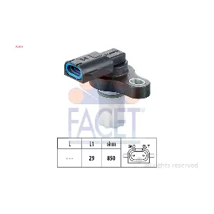 9.0309 FACET