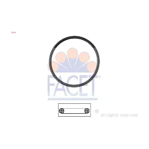 7.9642 FACET