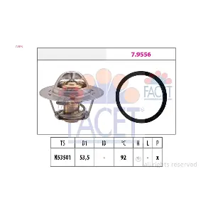 7.8576 FACET