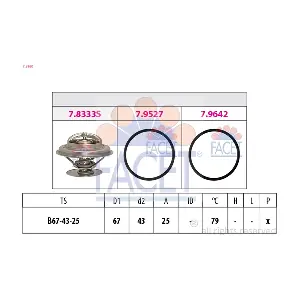 7.8980 FACET