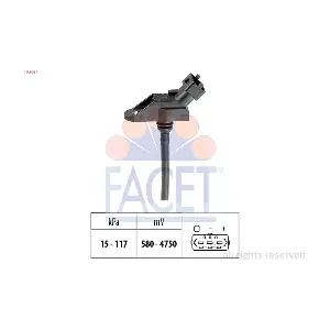 10.3054 FACET