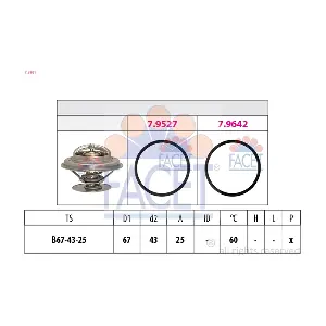78981 FACET
