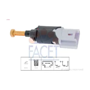 71197 FACET