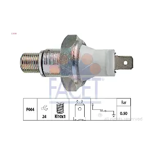 70119 FACET