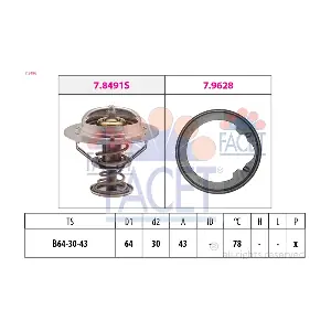 7.8496 FACET
