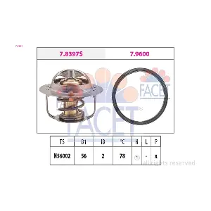 78397 FACET