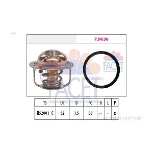 78554 FACET