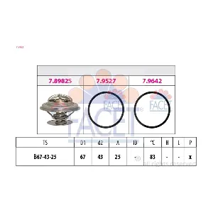 7.8982 FACET