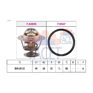 7.8289 FACET