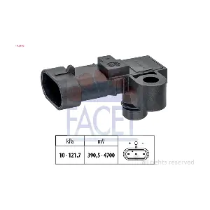 10.3196 FACET