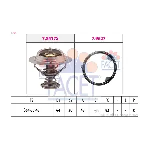 7.8926 FACET