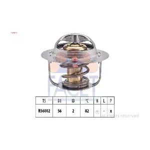 78954S FACET