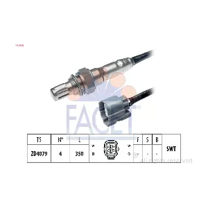 107995 FACET