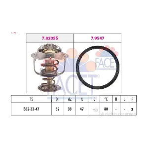 78205 FACET