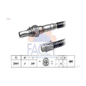 10.7909 FACET