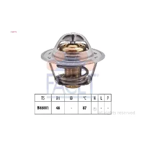 7.8374S FACET