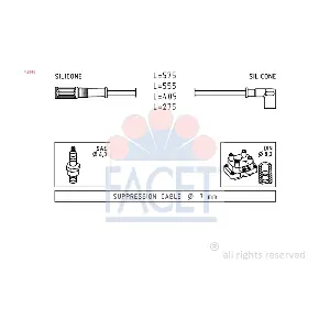 48616 FACET