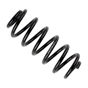 36-254316 BILSTEIN