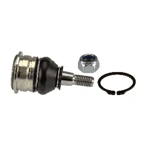 4806859145 SCION