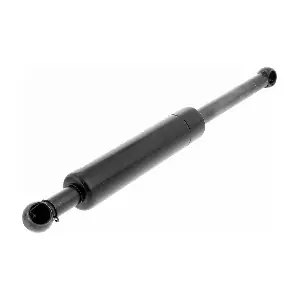 V95-0132 VAICO