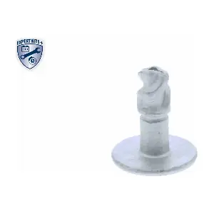 V10-2030 VAICO