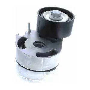 V25-0343 VAICO