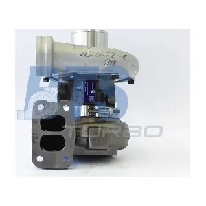 313472 BorgWarner