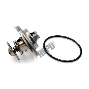 TM1295 HEPU