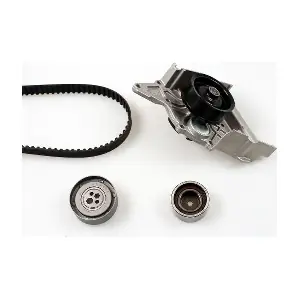 PK05390 HEPU