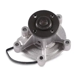 P141 HEPU