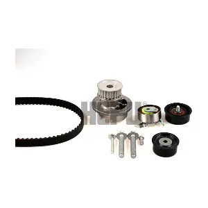 PK03170 HEPU