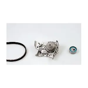 PK09311 HEPU