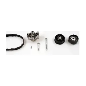 PK09560 HEPU