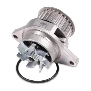 P556 HEPU