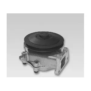 P117 HEPU