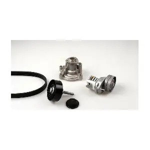PK05810 HEPU