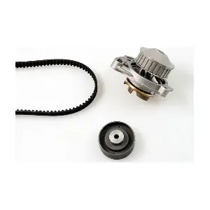 PK05260 HEPU