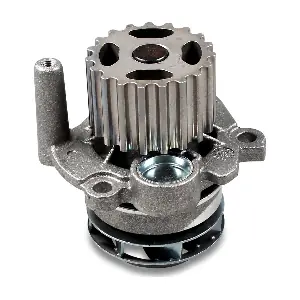 P569 HEPU