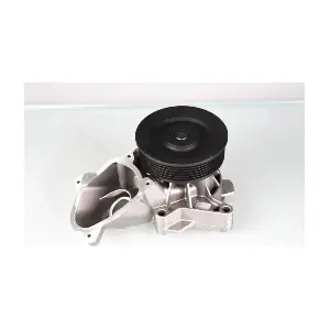 P487 HEPU